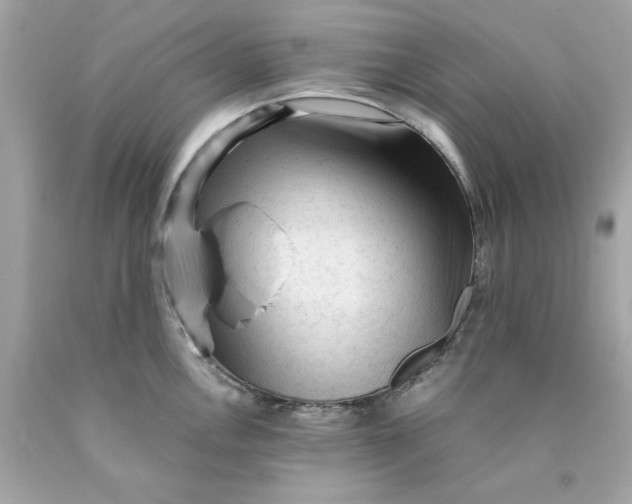 X0000089951146200707201919