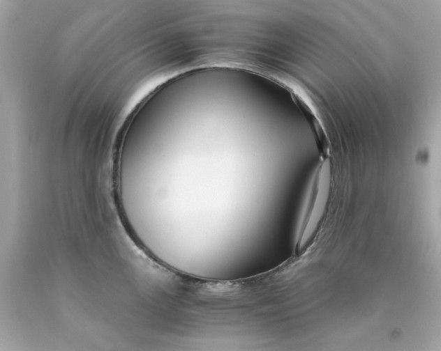 X0000089951147200707201919