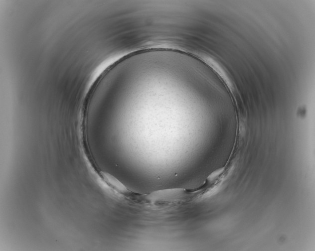 X0000089951149200707201920