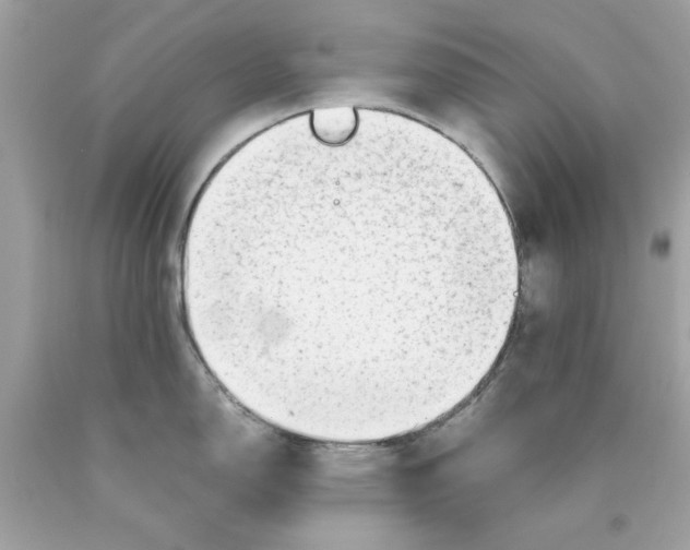 X0000089951150200707201920