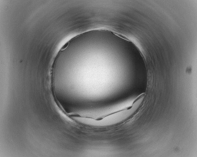 X0000089951151200707201920