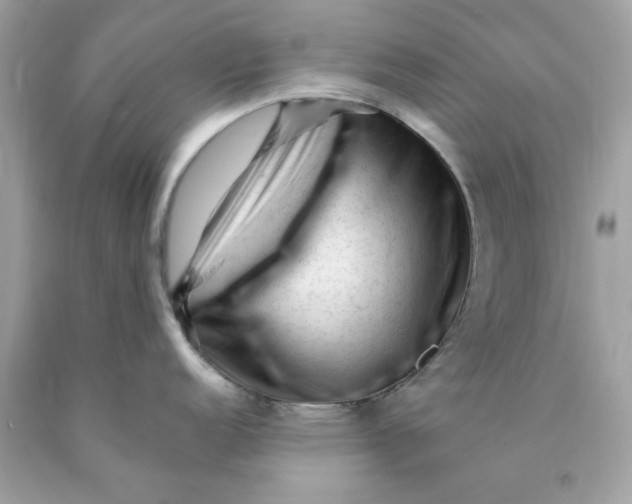 X0000089951152200707201920