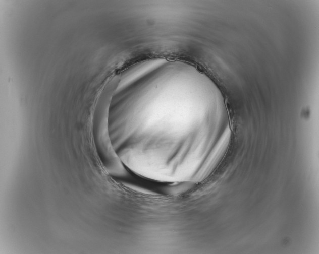 X0000089951153200707201919