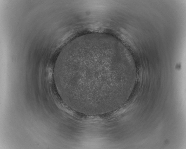 X0000089951154200707201919