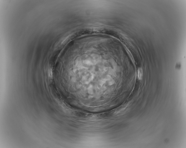 X0000089951155200707201919