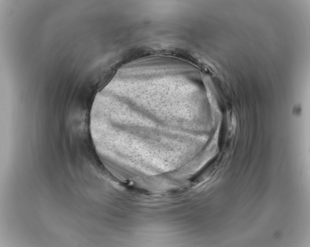 X0000089951156200707201919