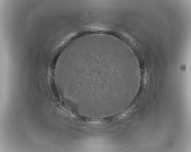 X0000089951157200707201919