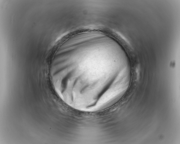 X0000089951158200707201919