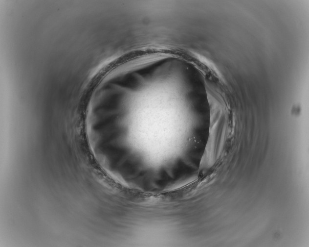 X0000089951160200707201919