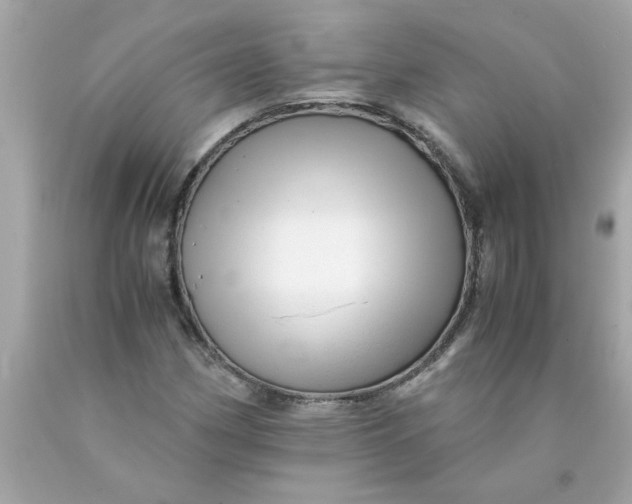 X0000089951162200707201919