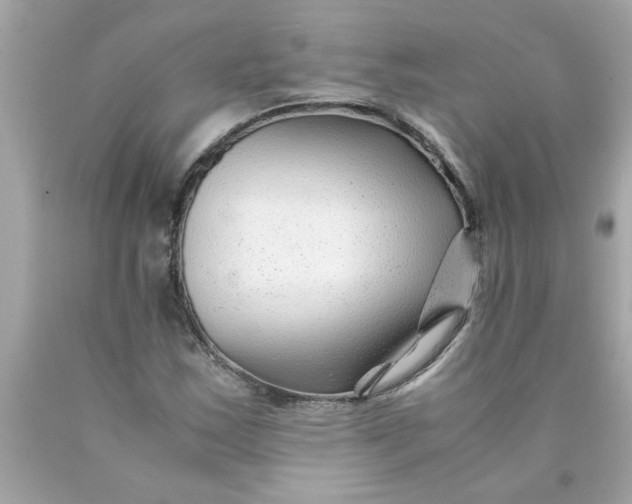 X0000089951163200707201919