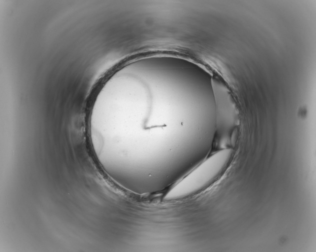 X0000089951164200707201919