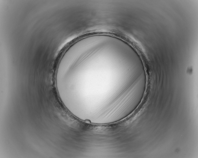 X0000089951166200707201919