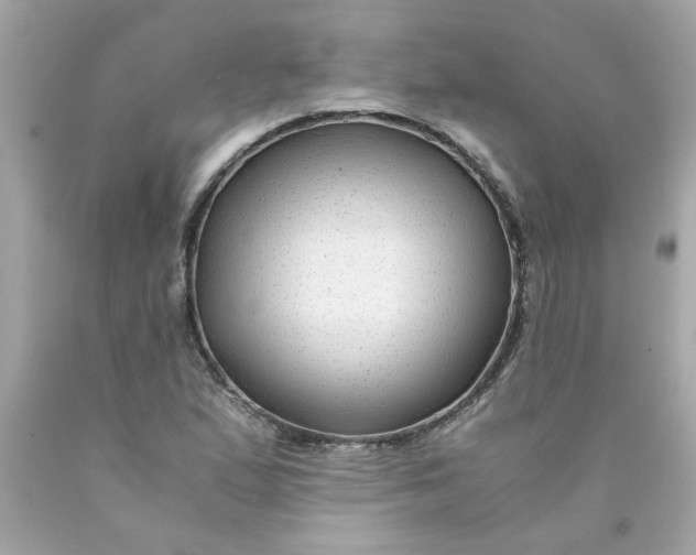 X0000089951167200707201919