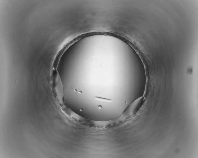 X0000089951168200707201919