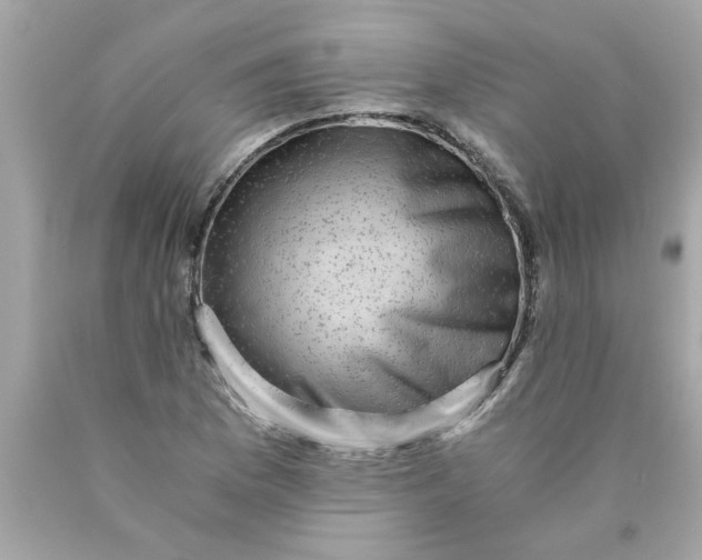 X0000089951169200707201919