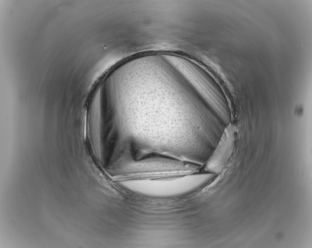 X0000089951171200707201919