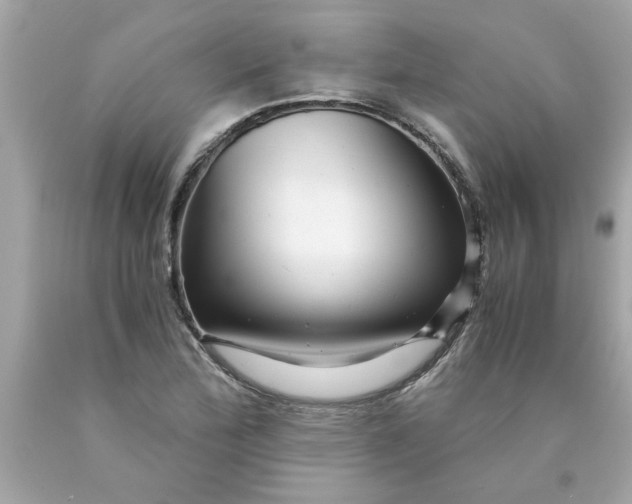 X0000089951172200707201919