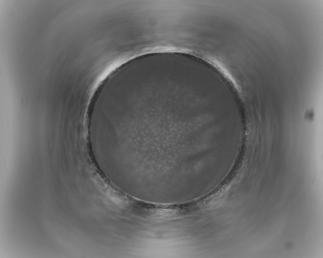 X0000089951173200707201919