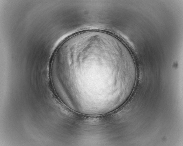 X0000089951174200707201919