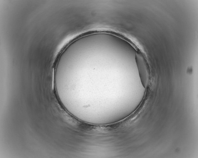 X0000089951175200707201919