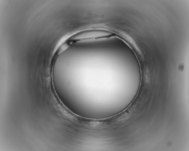 X0000089951176200707201919