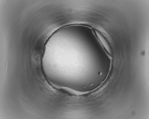 X0000089951177200707201919