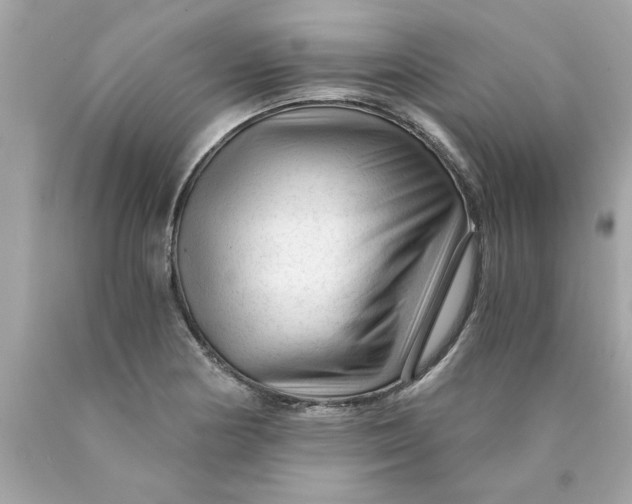 X0000089951178200707201919