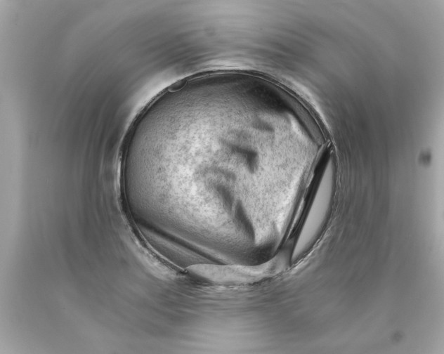 X0000089951179200707201919