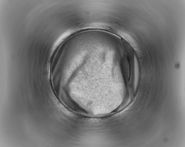 X0000089951180200707201918