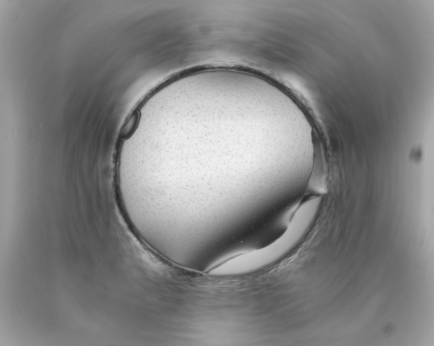 X0000089951183200707201918