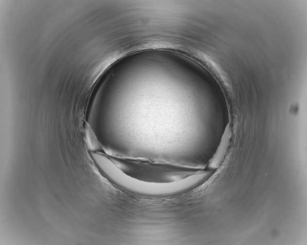 X0000089951185200707201918