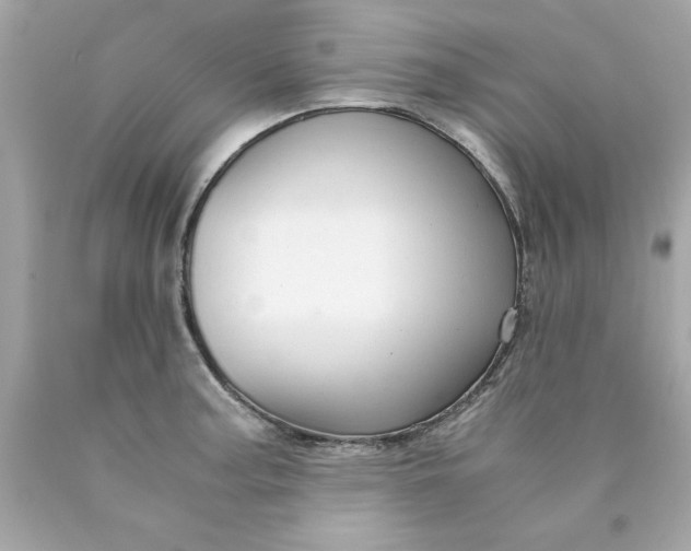 X0000089951187200707201918