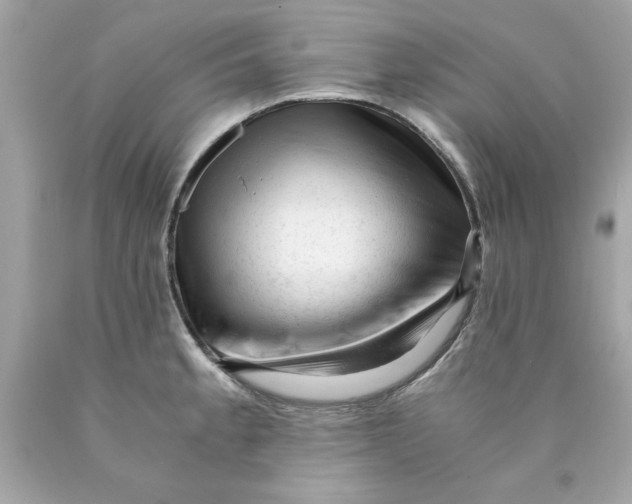 X0000089951189200707201918