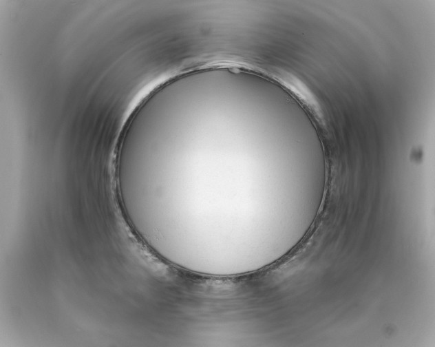 X0000089951190200707201918