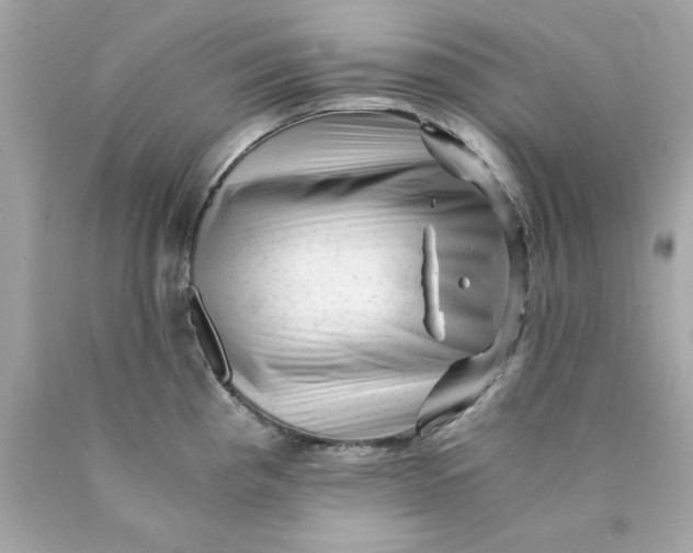 X0000089951193200707201918