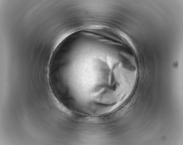 X0000089951194200707201918