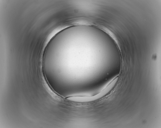 X0000089951195200707201918