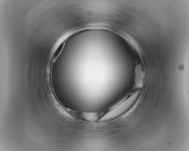 X0000089951196200707201918