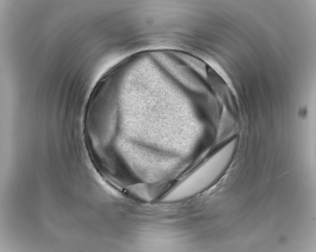 X0000089951197200707201918