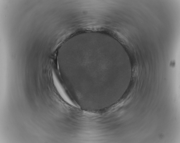 X0000089951202200707201918