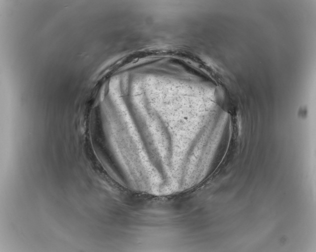 X0000089951206200707201918