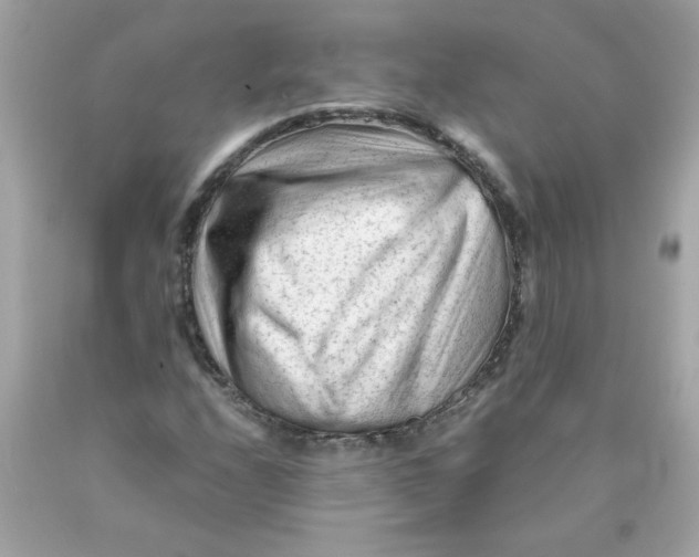 X0000089951208200707201918