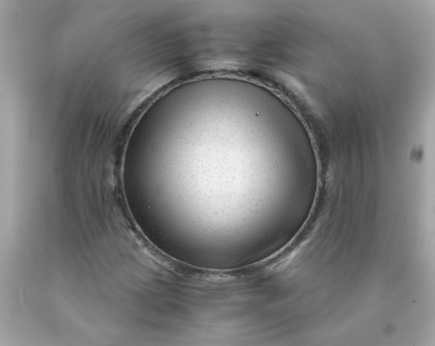 X0000089951209200707201918