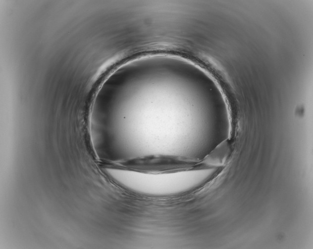 X0000089951210200707201918
