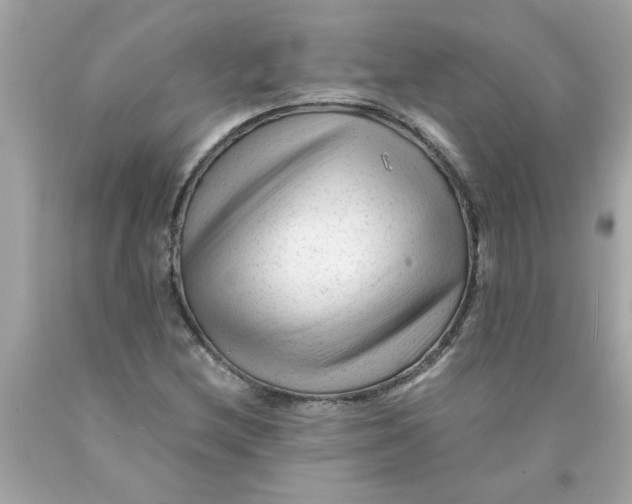 X0000089951212200707201918