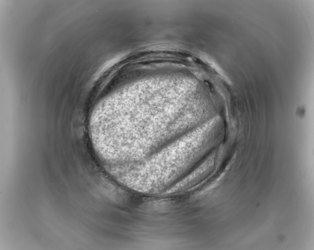 X0000089951213200707201918