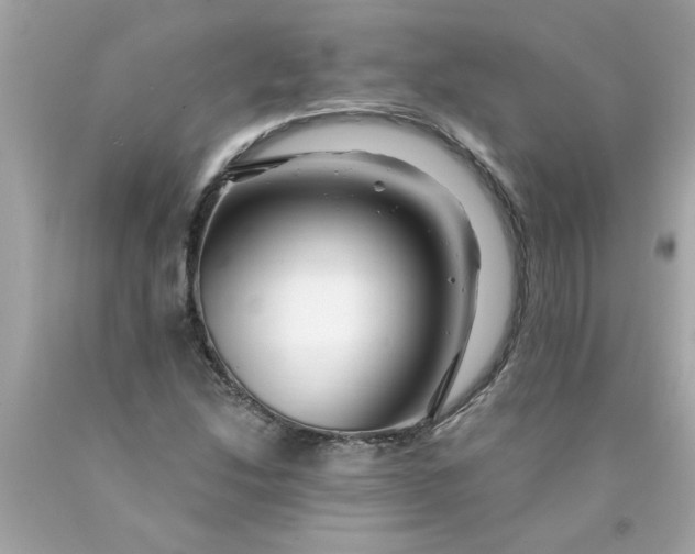 X0000089951214200707201918