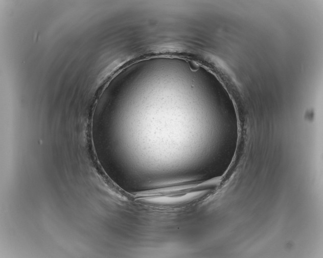 X0000089951217200707201918