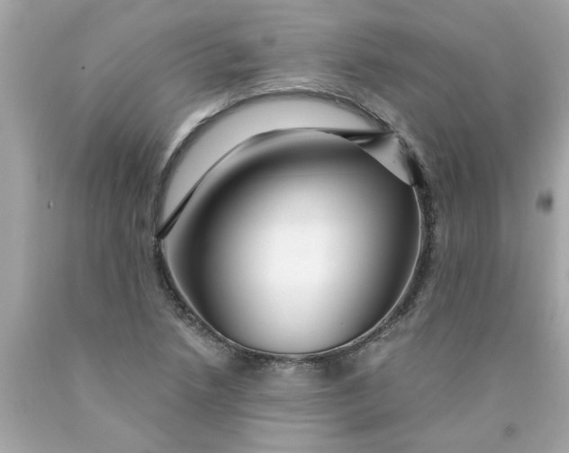 X0000089951218200707201918